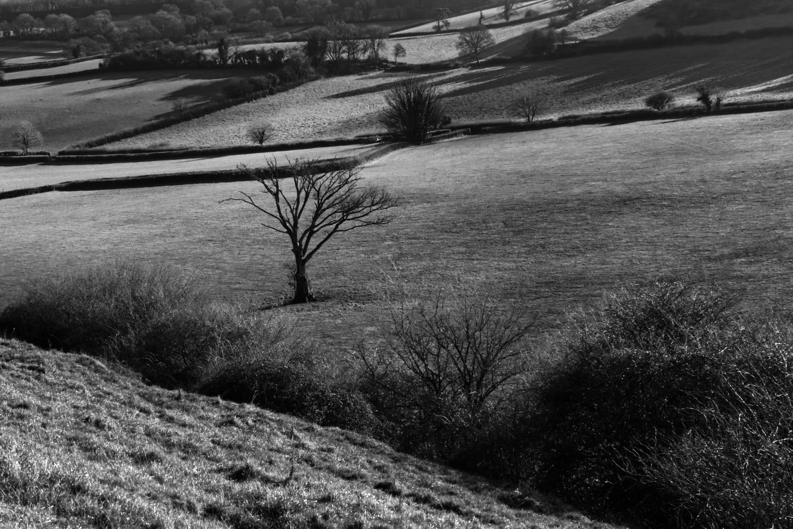 Colin Evans
3rd Place - DPI Landscape