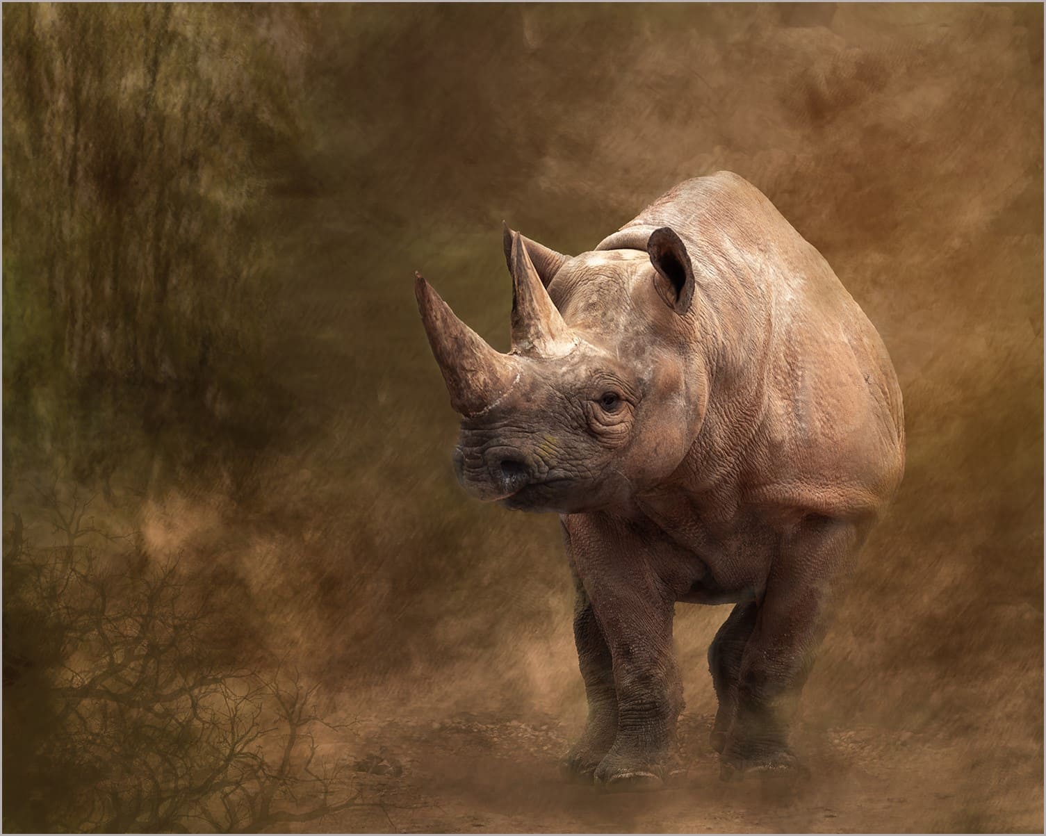 Angela Heed
2nd Place - DPI Open