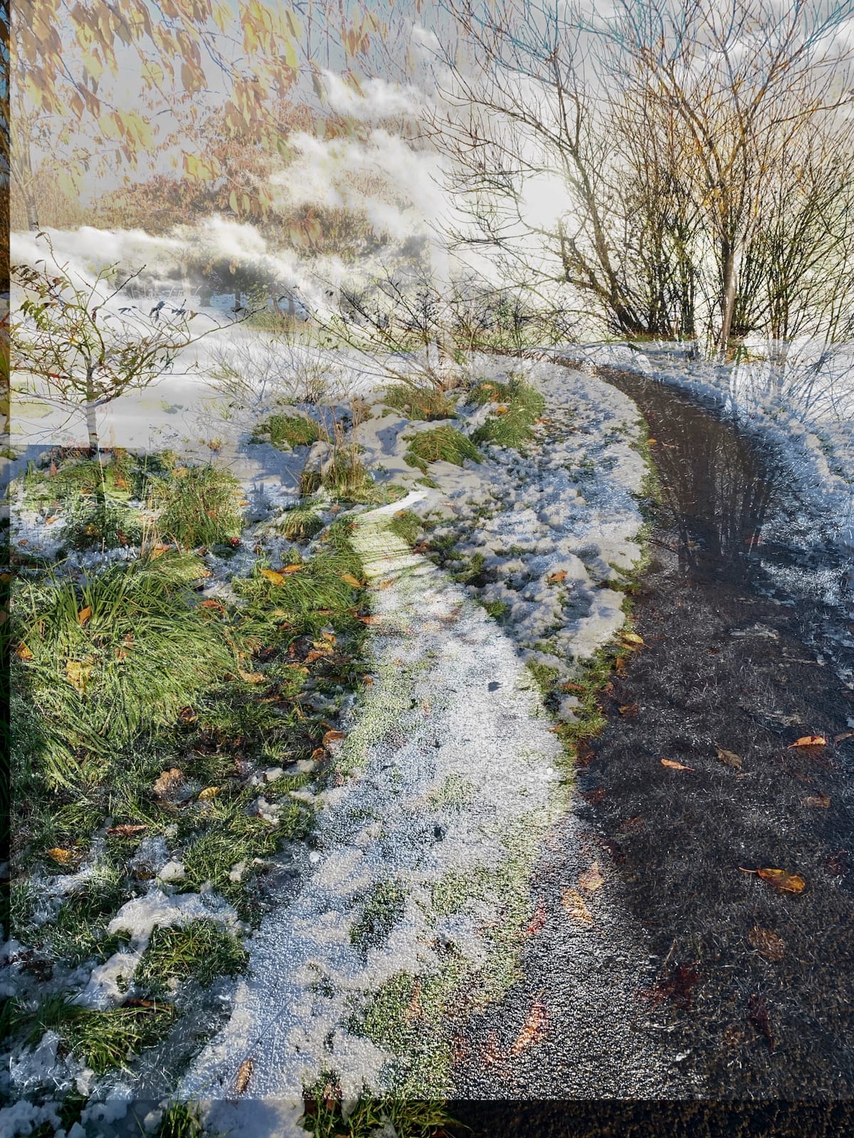 Alan Williams
3rd Place - Print Landscape