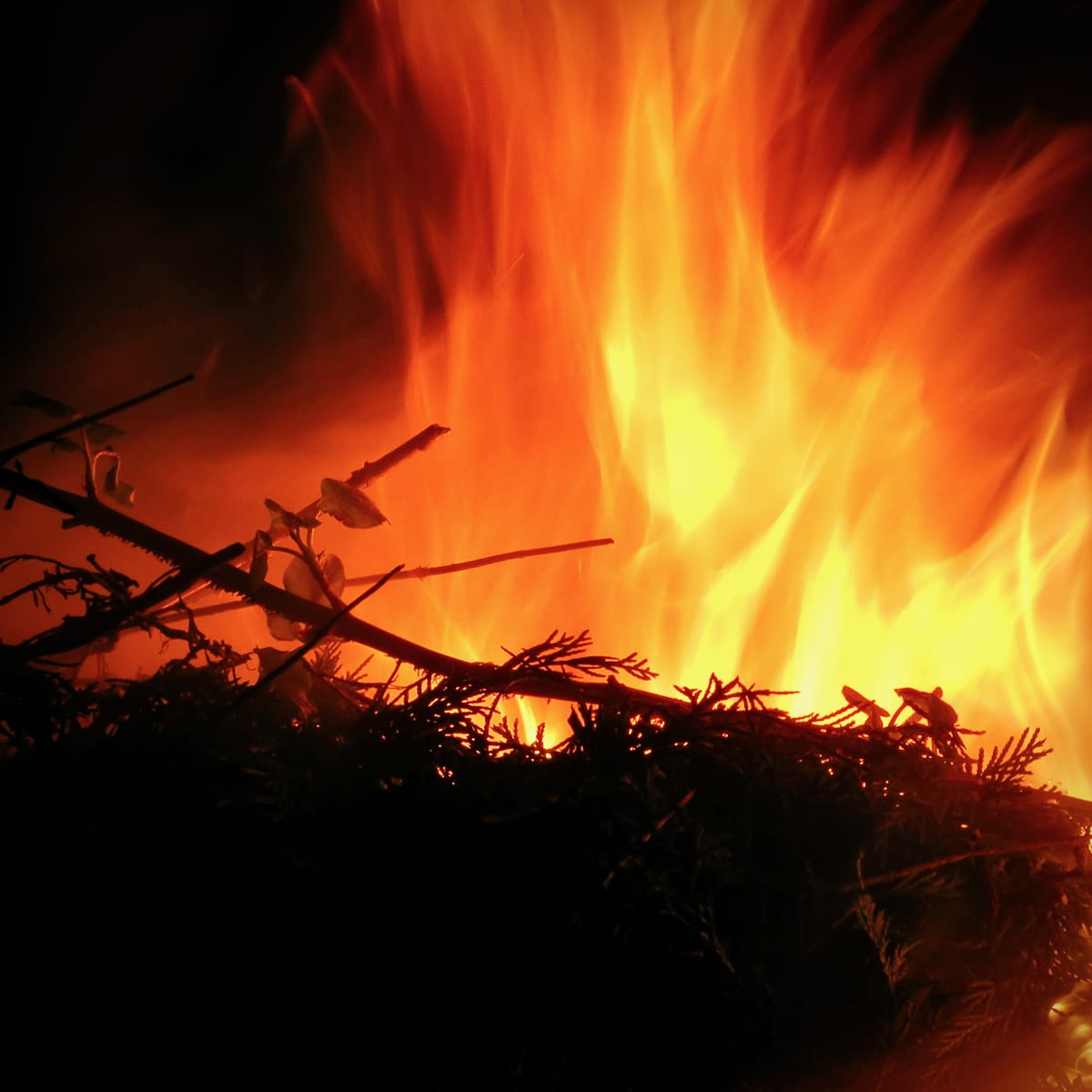 3rd Place DPI(Open) - Fire - Steph Walsh