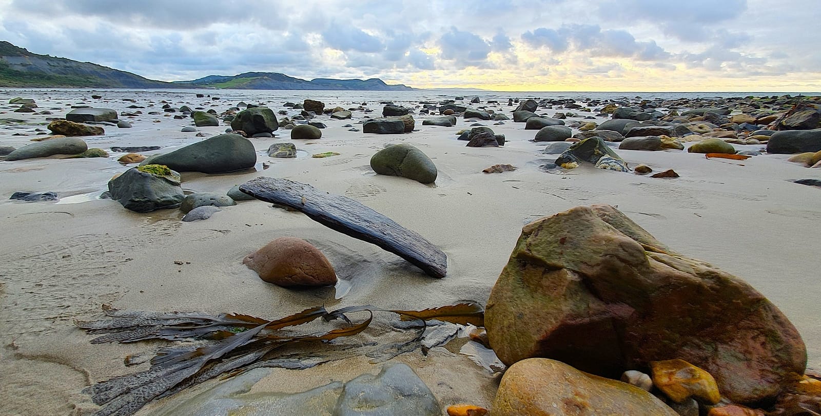 3rd Place Print(Nature) What the tide left behind - Lorraine Best