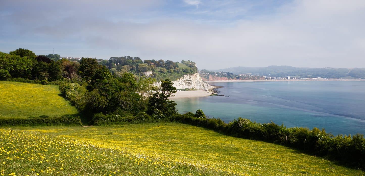 a postcard from Seaton