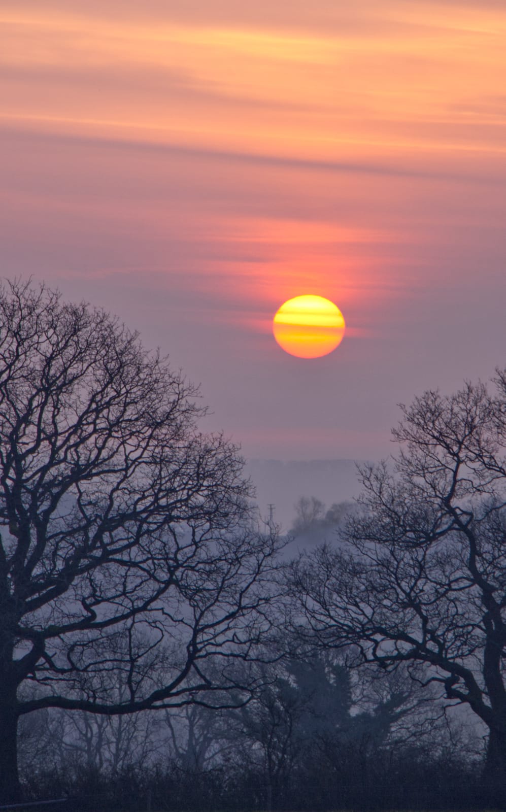 DPI Open 3rd  place  -   Sunrise - Steph Walsh